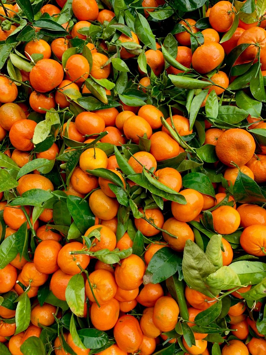 Eating Well on a Budget May Get Easier for Seniors
